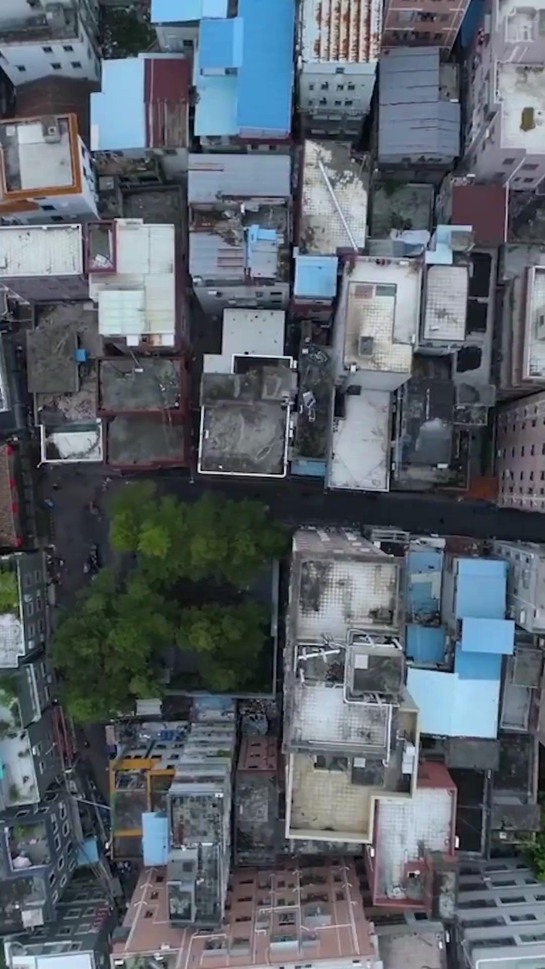 A Verdadeira Herdeira Ana Voltou