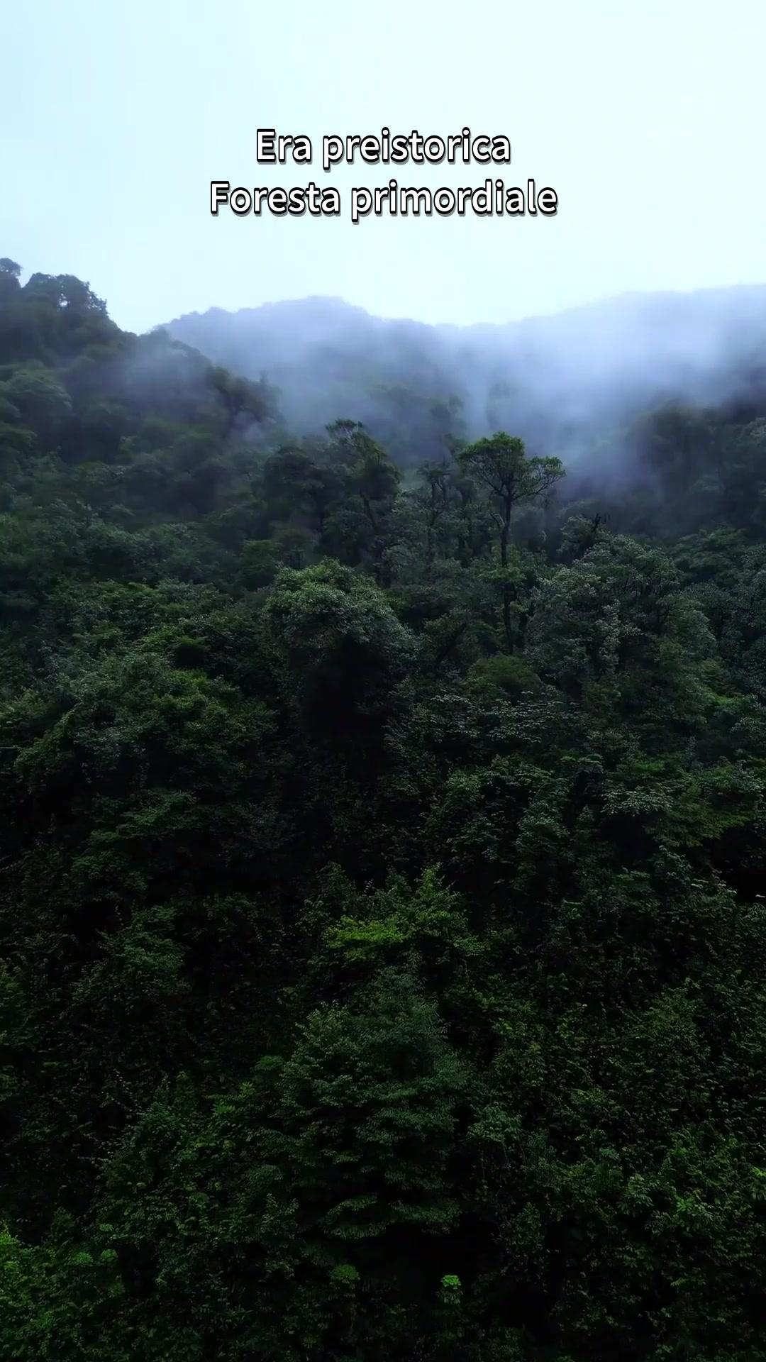 Nel Cuore della Preistoria