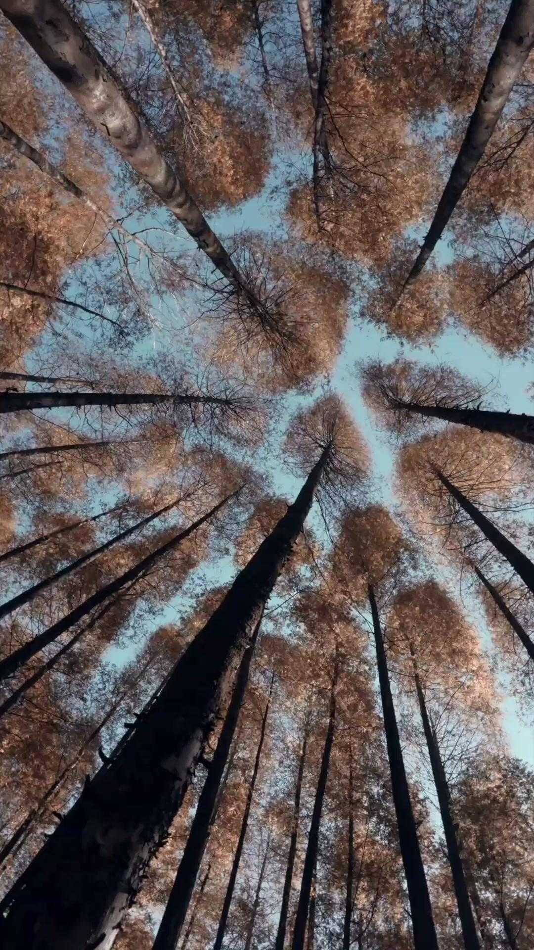 (Doblado) Rocío, jefa y mamá por accidente