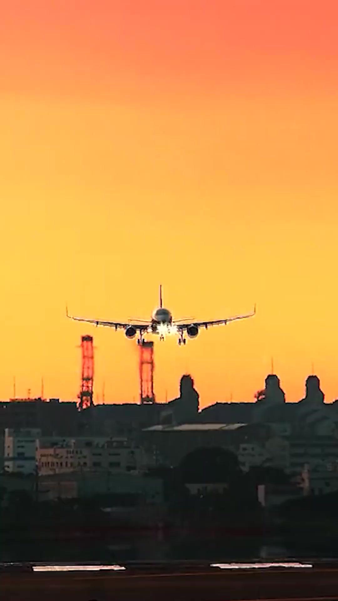 功夫小夥闖都市