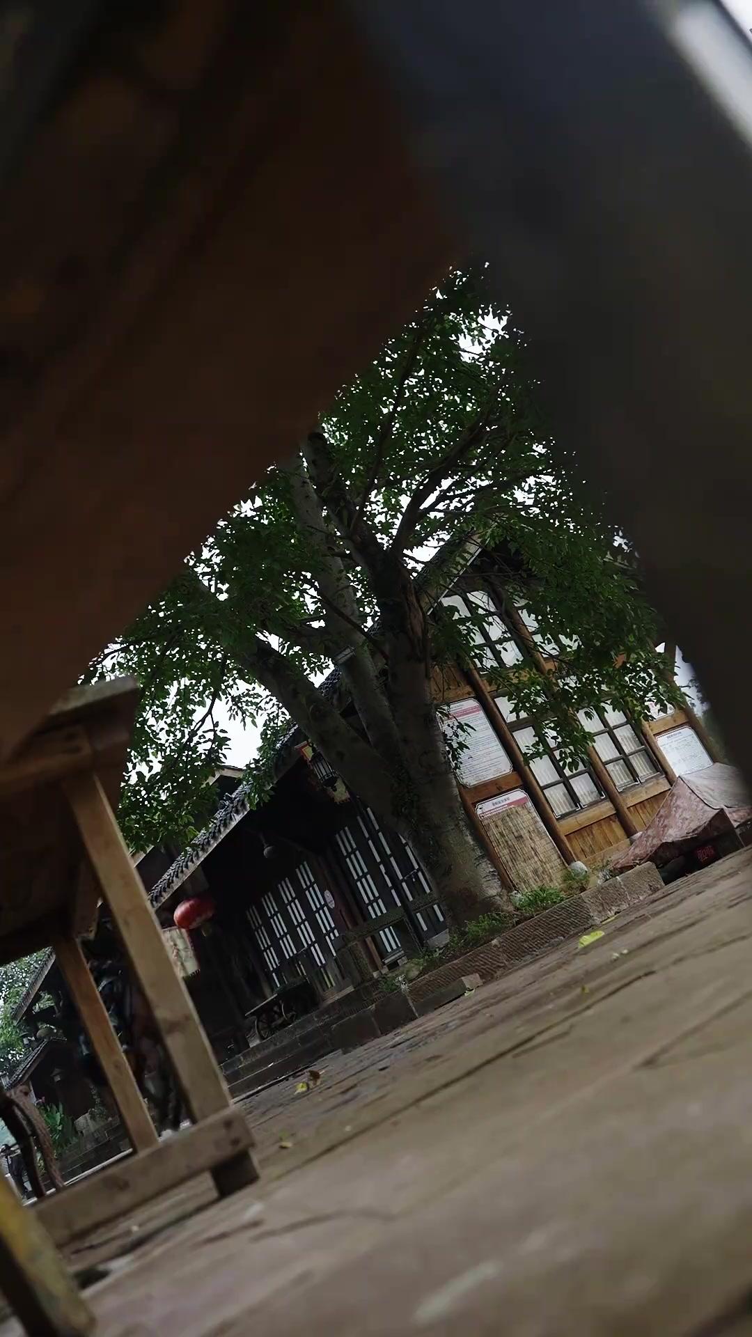 Không Khuất Phục