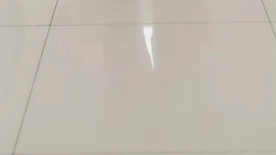 第二生的浪漫反擊：走廊上的精神風暴與沉默旁觀者