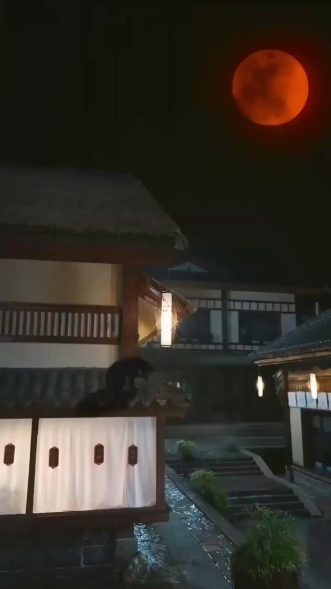 The Low-Key Legend Next Door