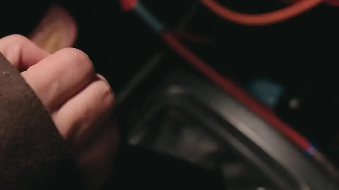 The Hidden Wolf: A Daughter’s Blood Oath in the Dim Light of Betrayal