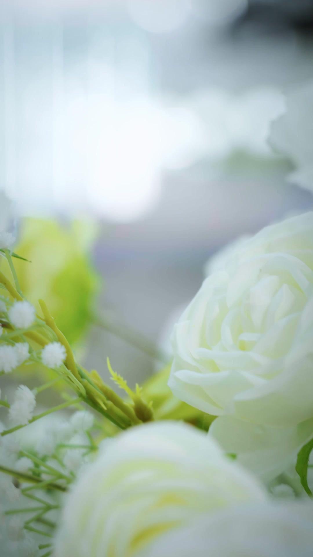 The Ex-Wife Strikes Back