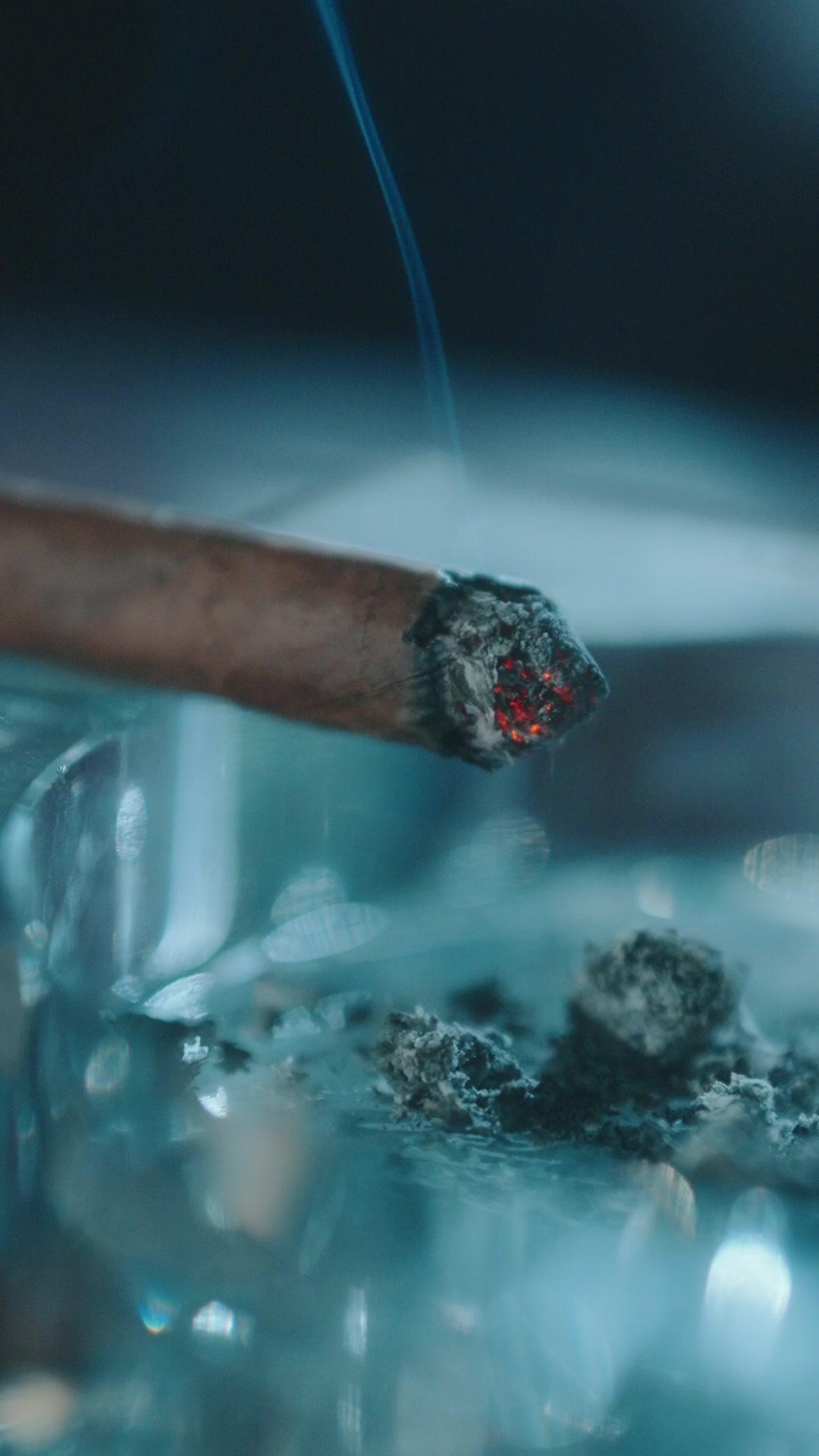 貧民窟女殺手掉馬了