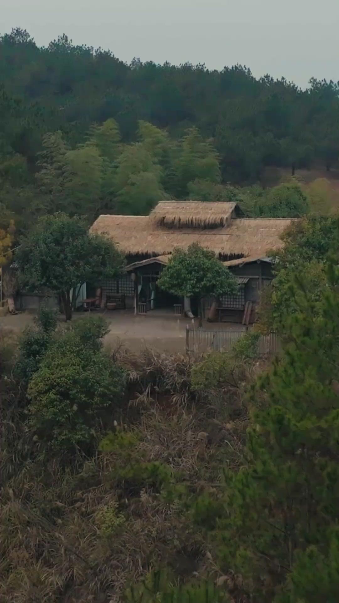 궁으로 끌려간 아이