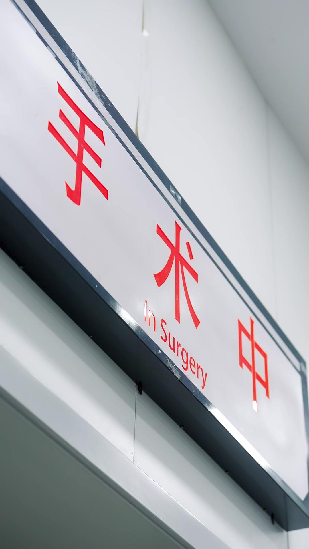 Mi camino de transformación tras renacer