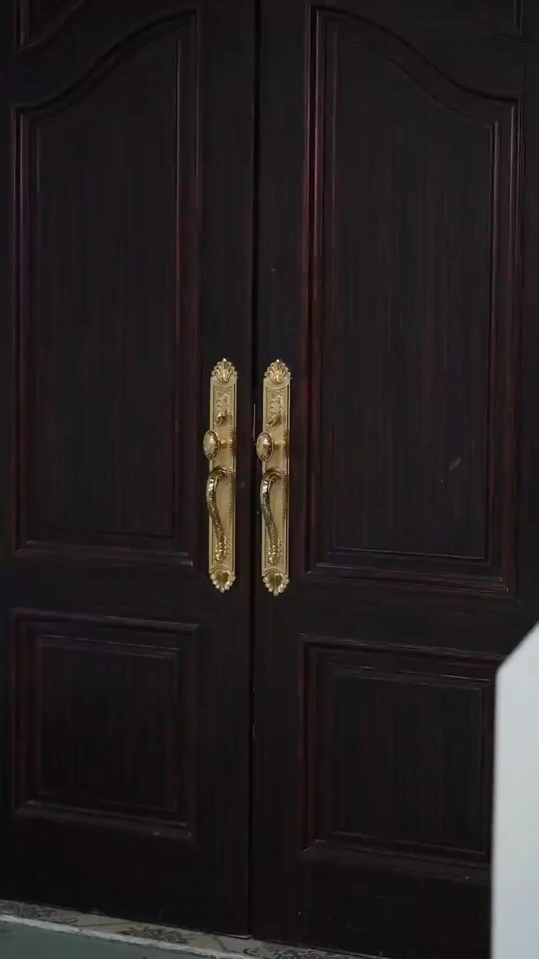 (Dublajlı)Okul Güzeli ve Çılgın Koruması