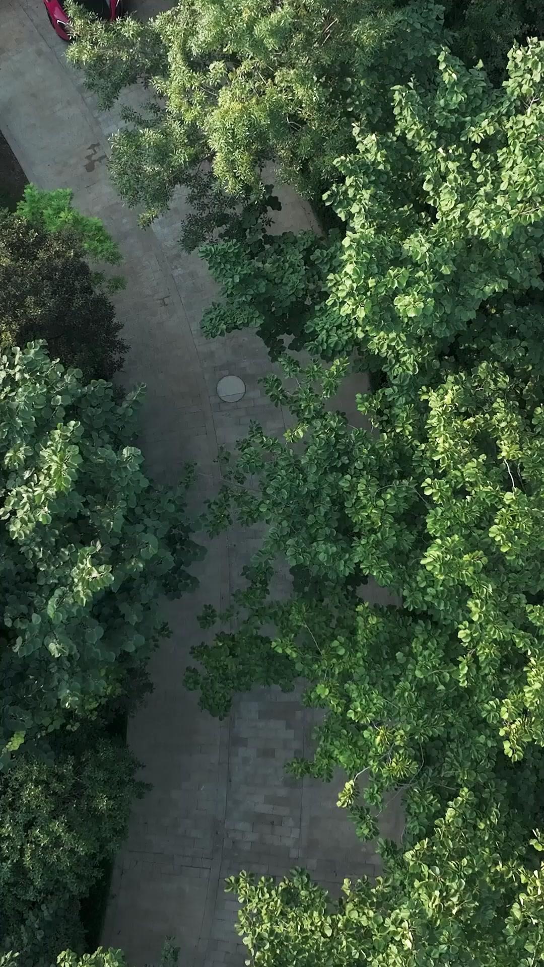 地表最強外送老爹