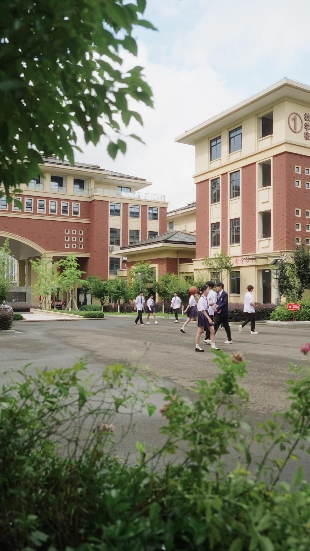 Renací para romperte el corazón