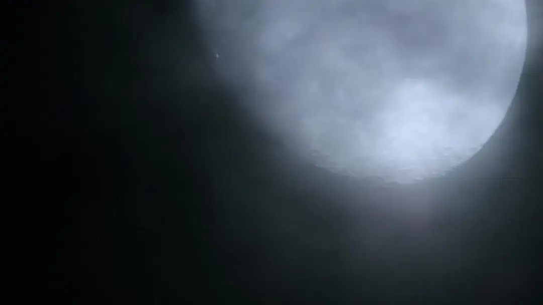 The Mafia Boss' Secret Maid: The Language of Suspenders and Silk