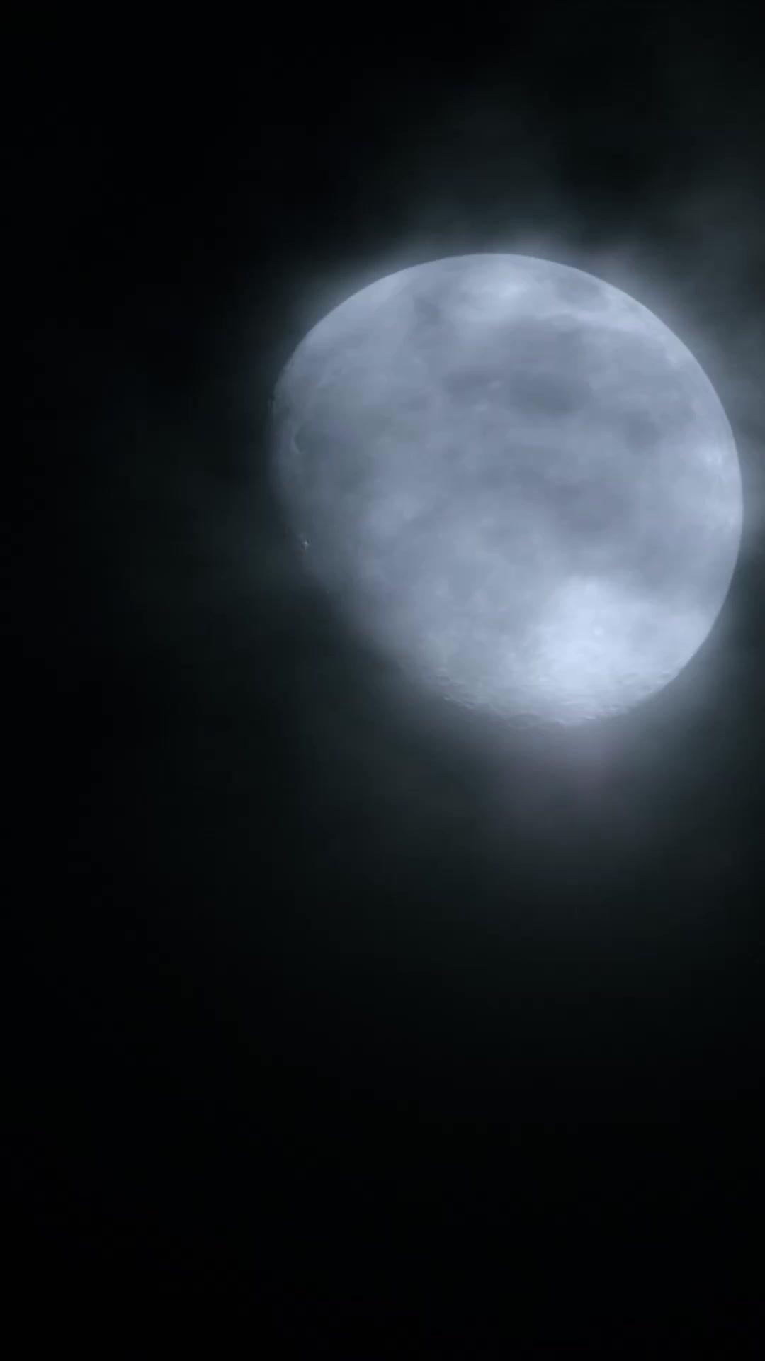 The Mafia Boss' Secret Maid