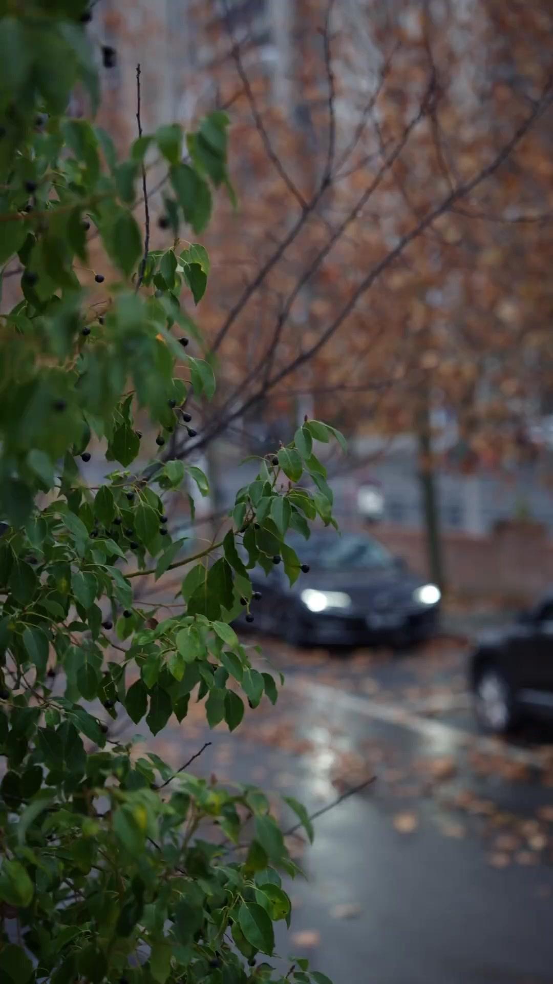  الشمال البارد.. قلب دافئ