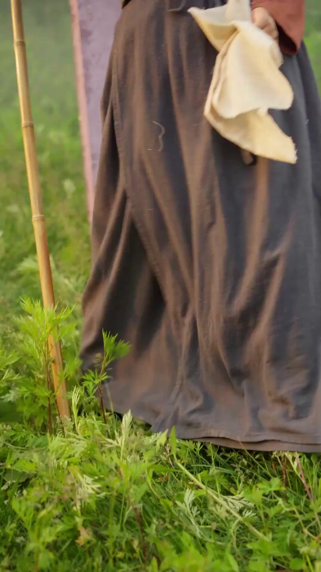 L'ESSOR DU DRAGON BANNI