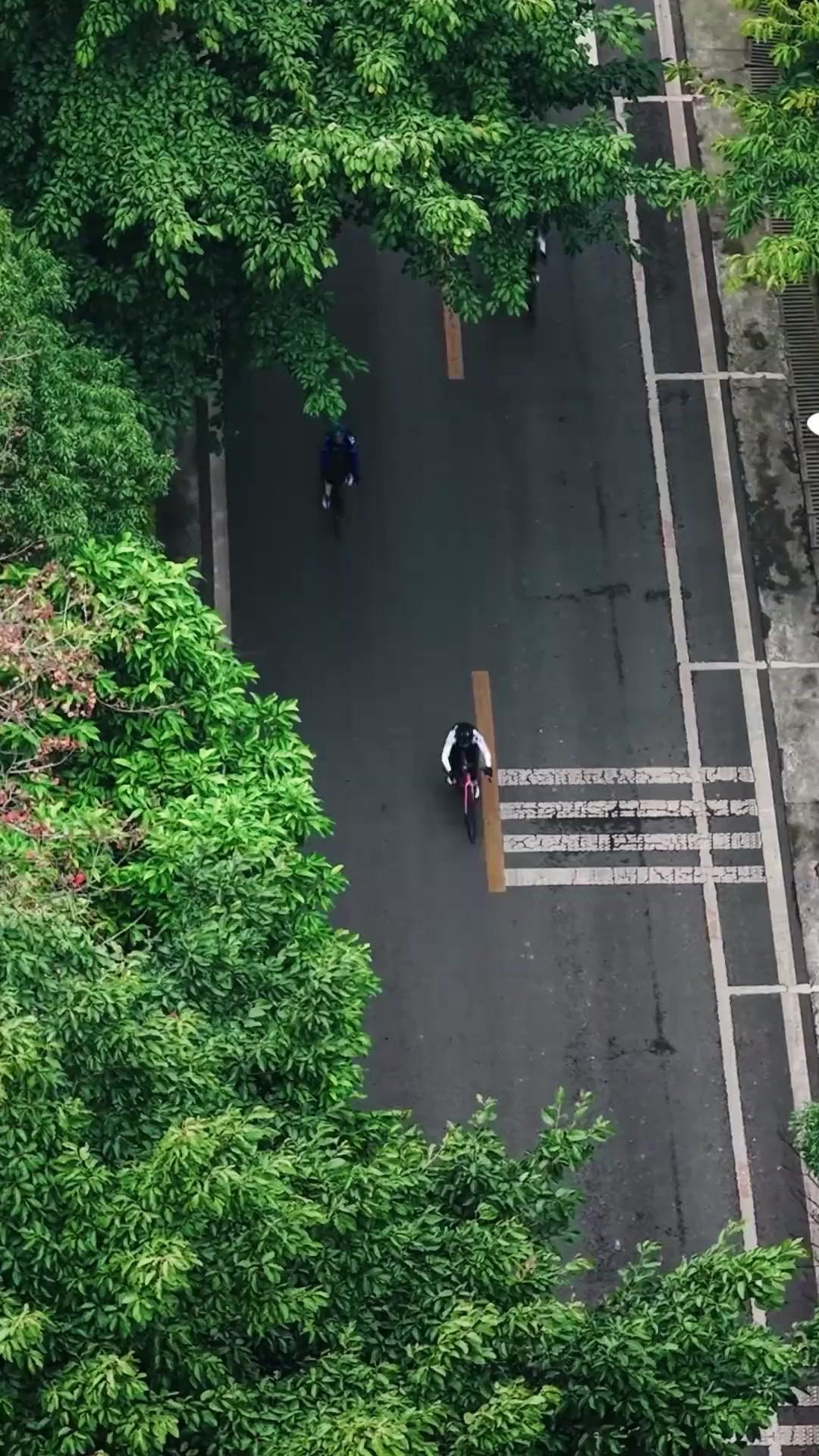 Finish Line, Dead End