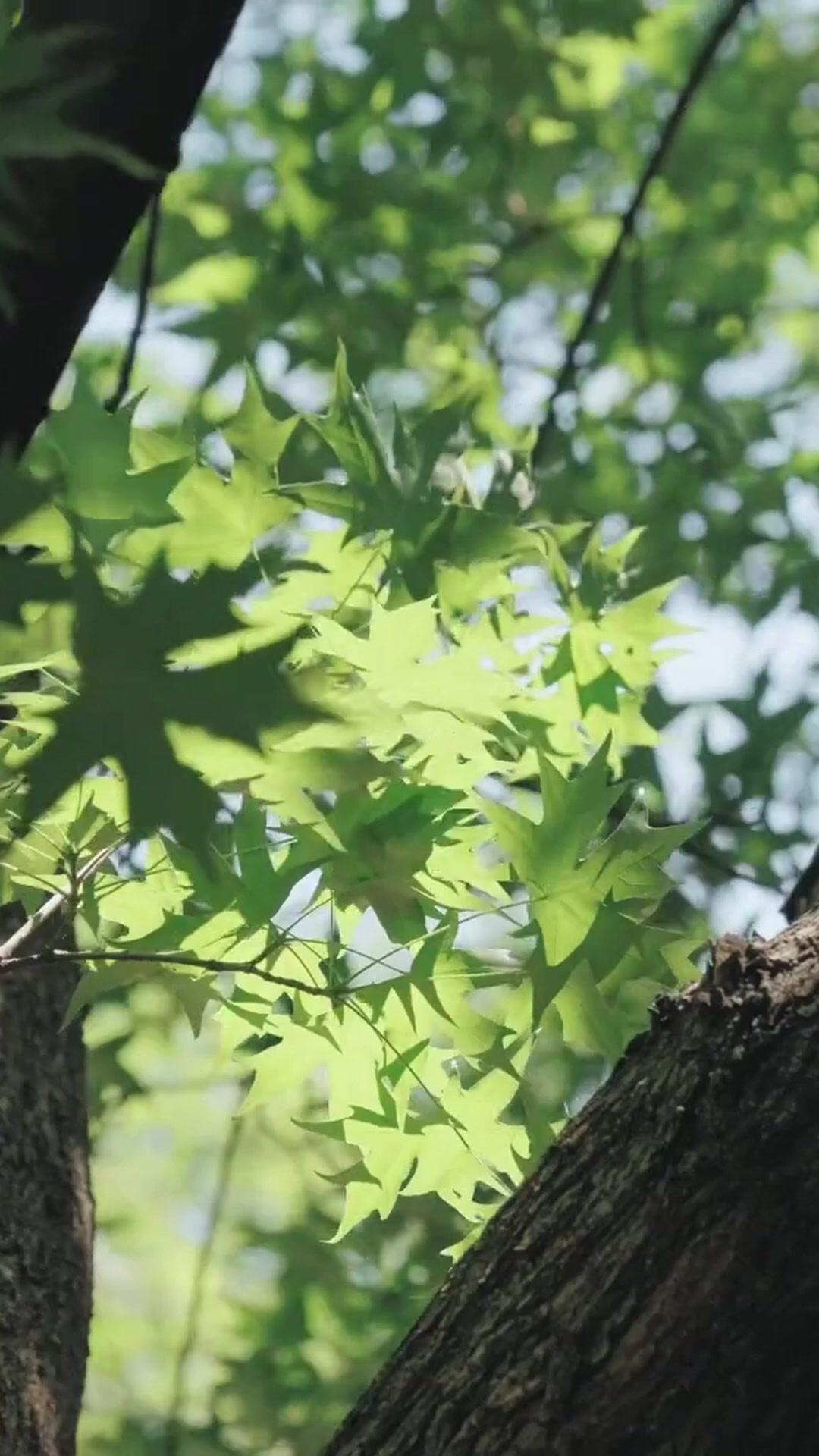 Cintaku Prajurit Elit