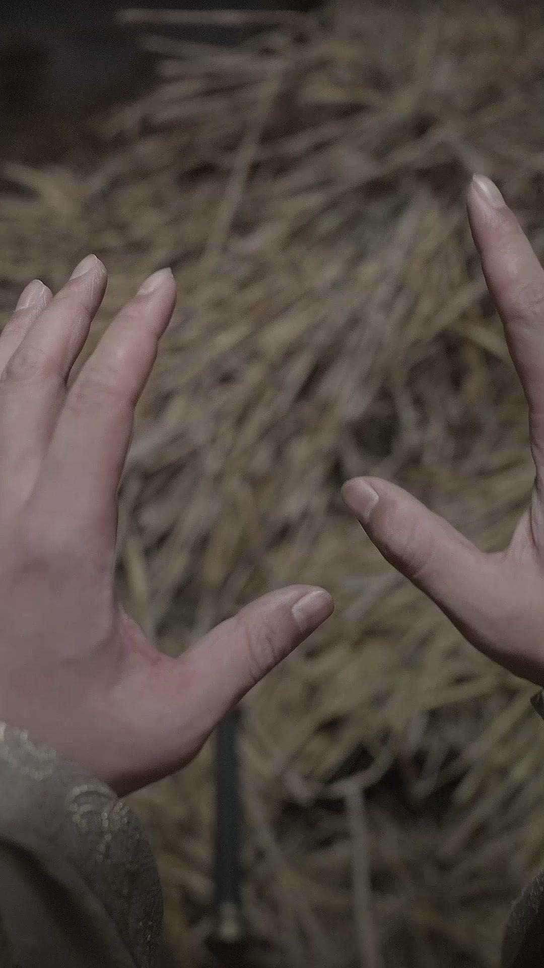 Kaisar yang Menyesal di Era Modern