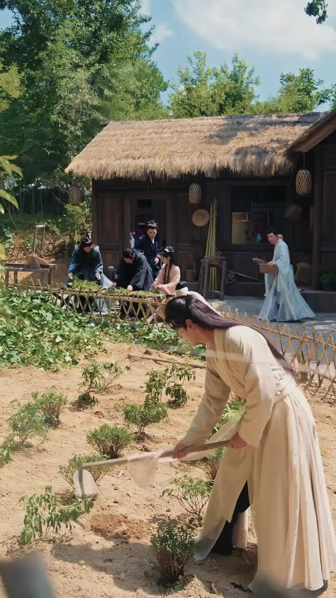 Phượng Hoàng Tái Sinh