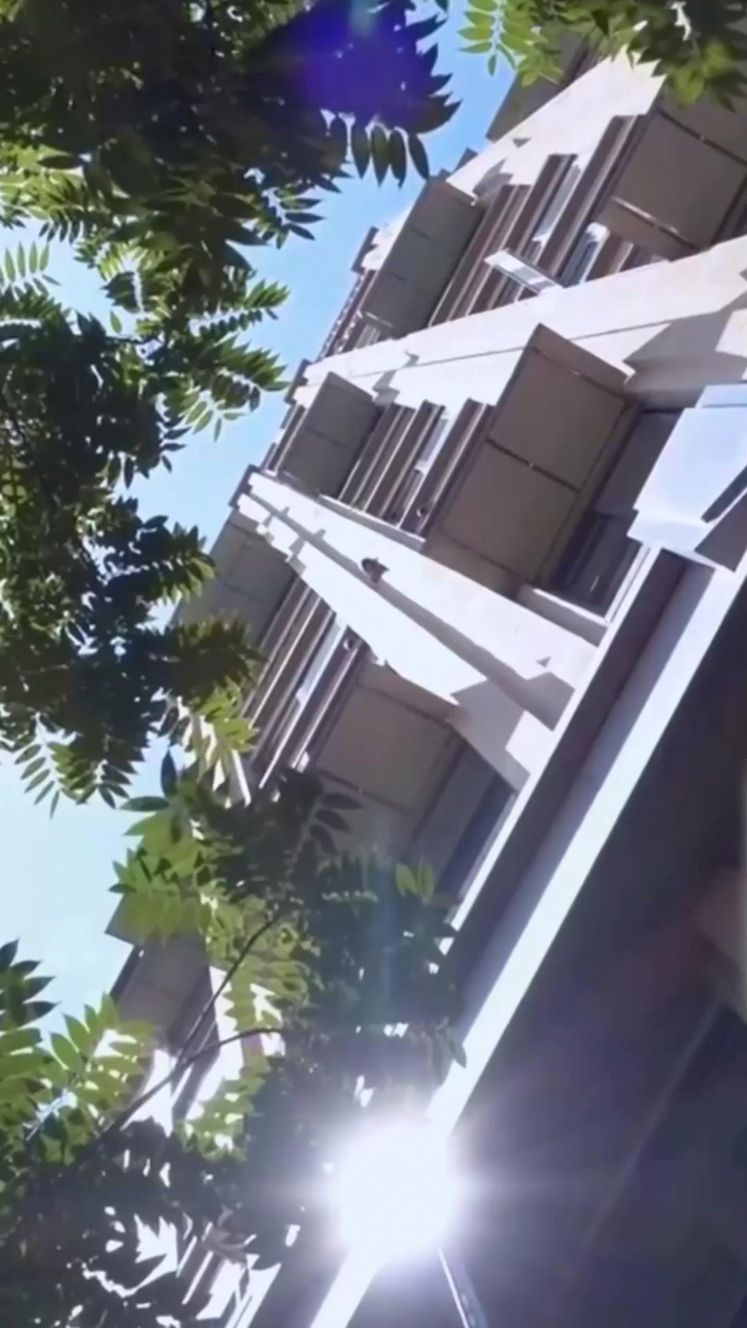 แผนรักลวงใจ