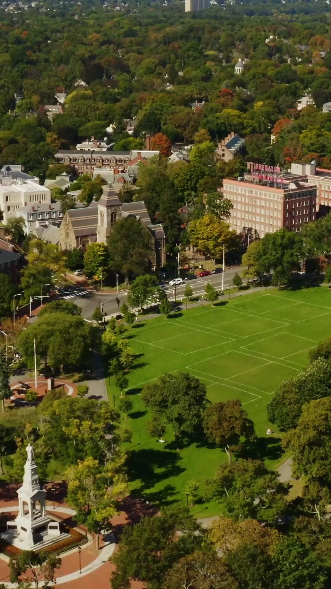 डॉ. नॉर्मन, मेरा प्यार