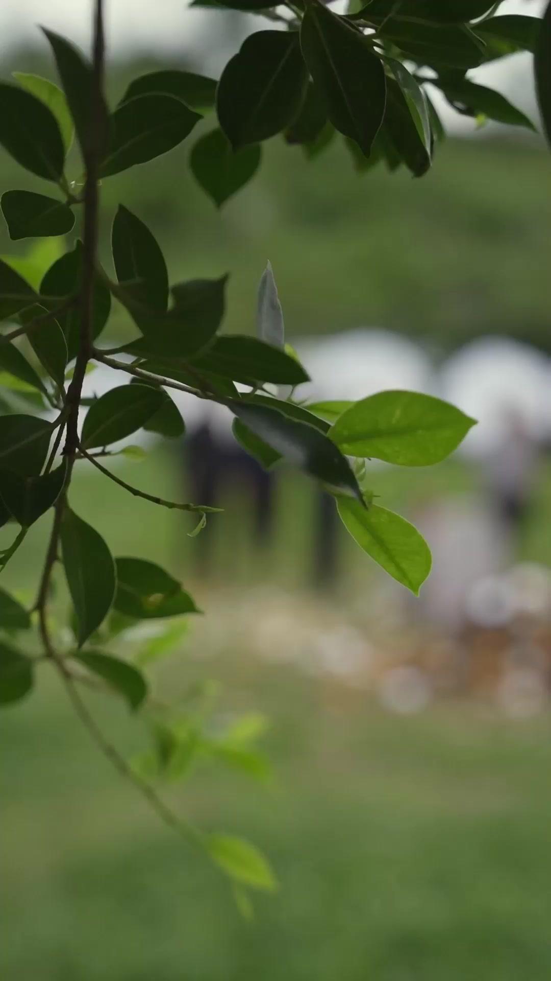 Quando o Amor Chega Tarde Demais