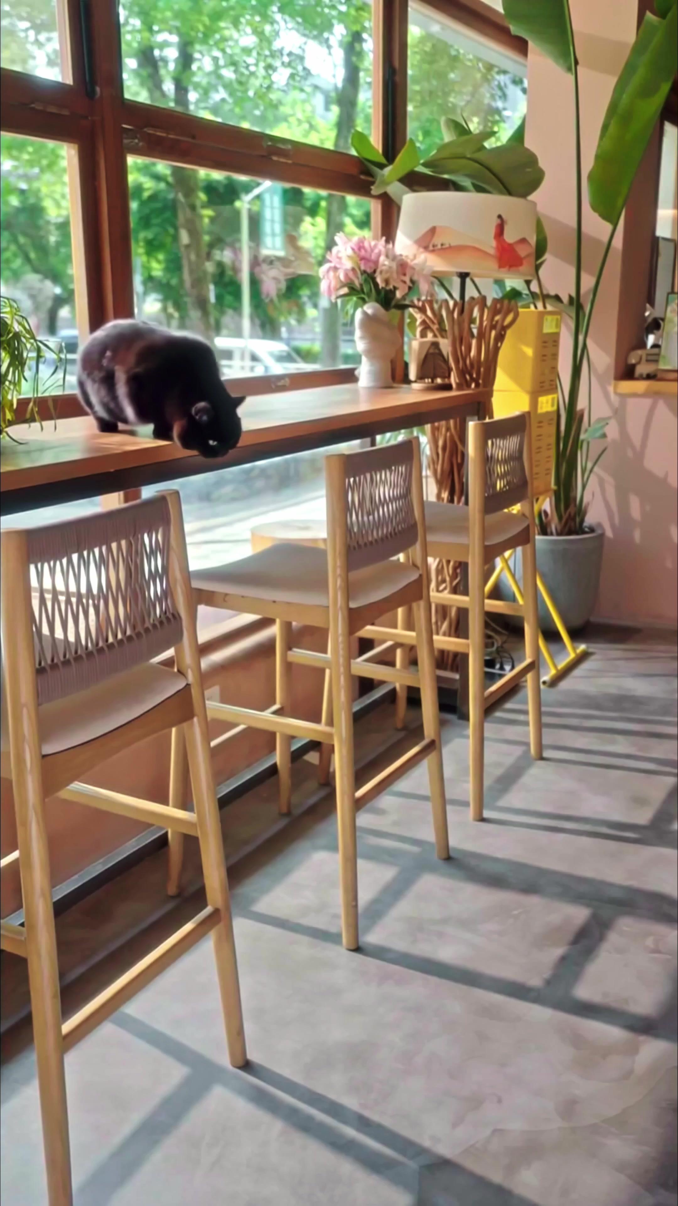 สัญญารักยมโลก