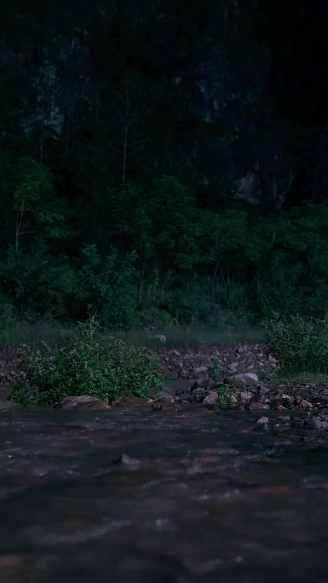 Unutuş Bahçesinde Açan Çiçek