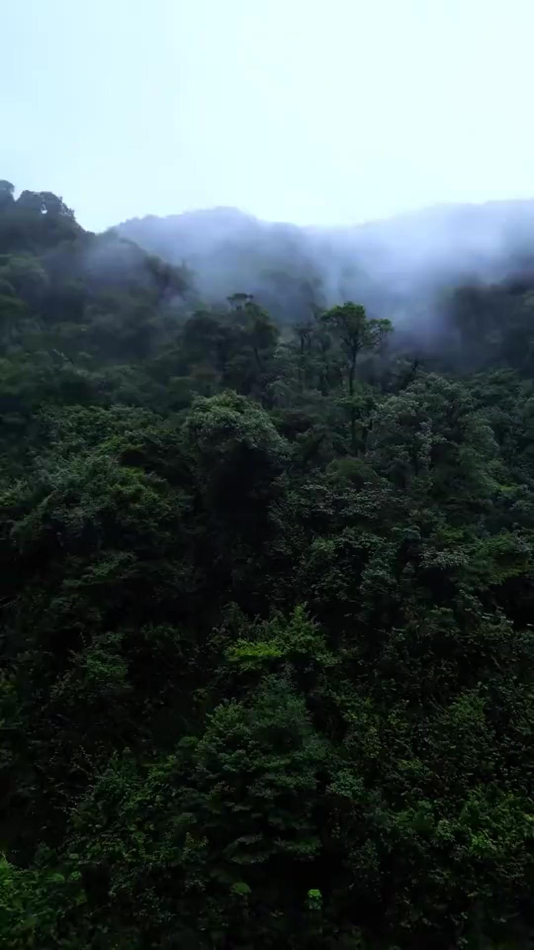 My Darling from the Ancient Times