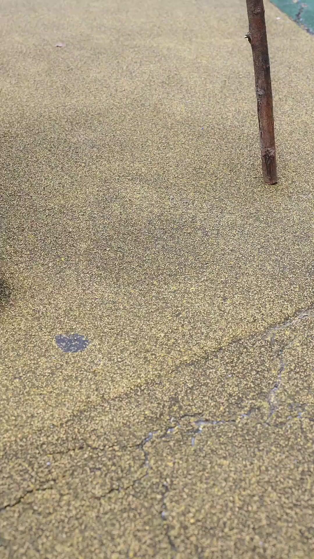 Die Bettler-Prüfung