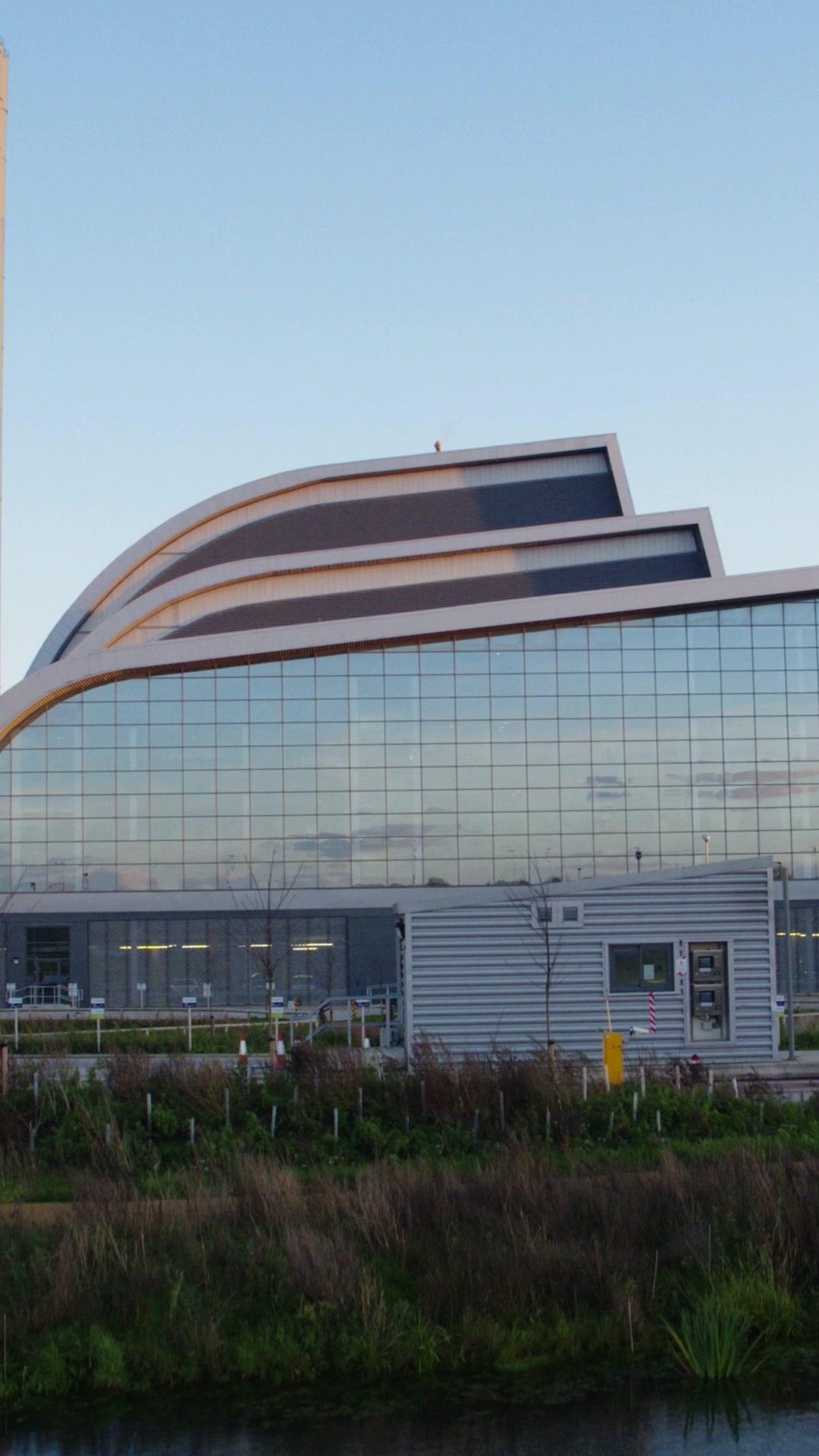 Rey bastardo de la jaula