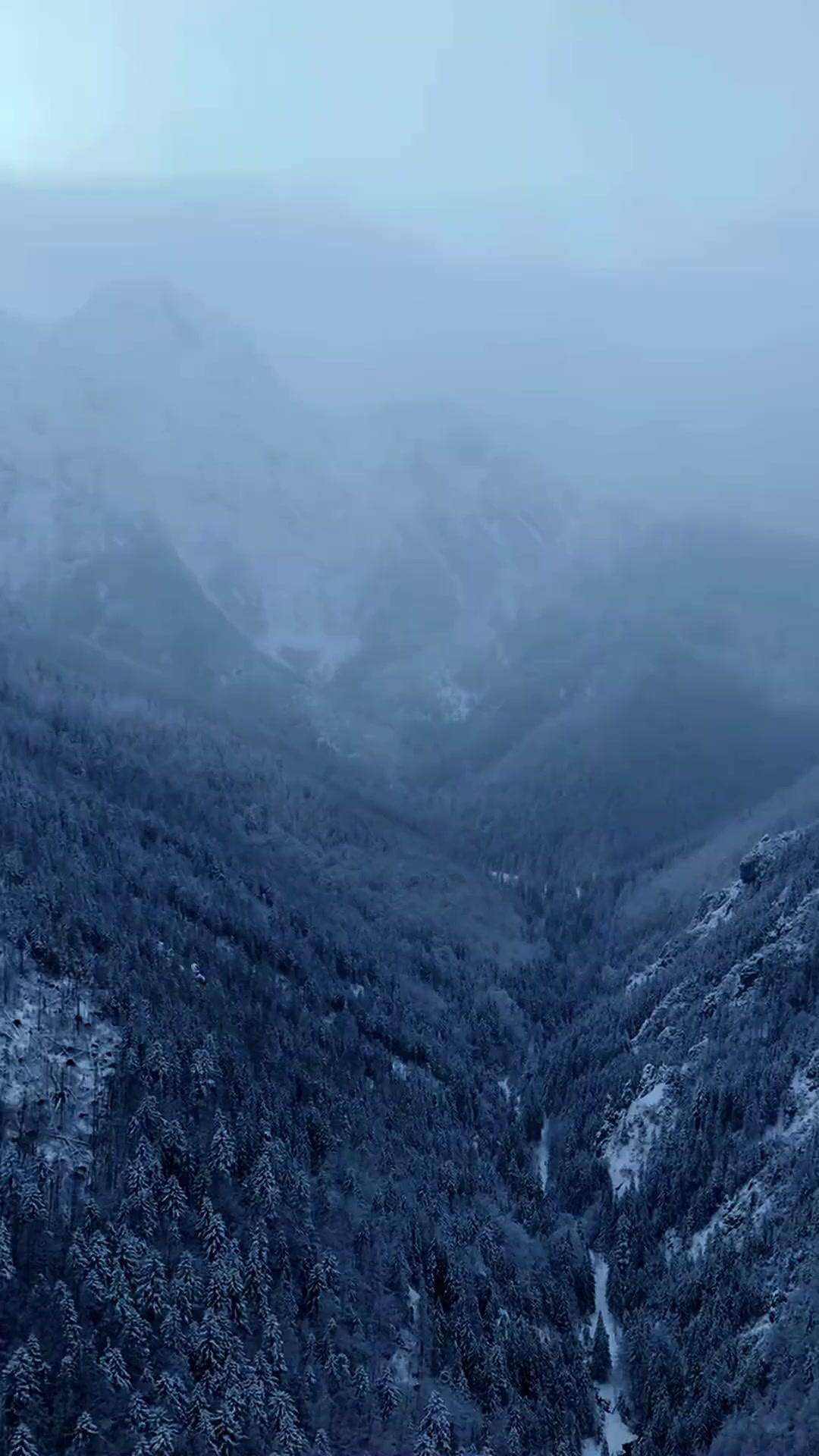 흉년 속에 깨어난 아빠 시스템