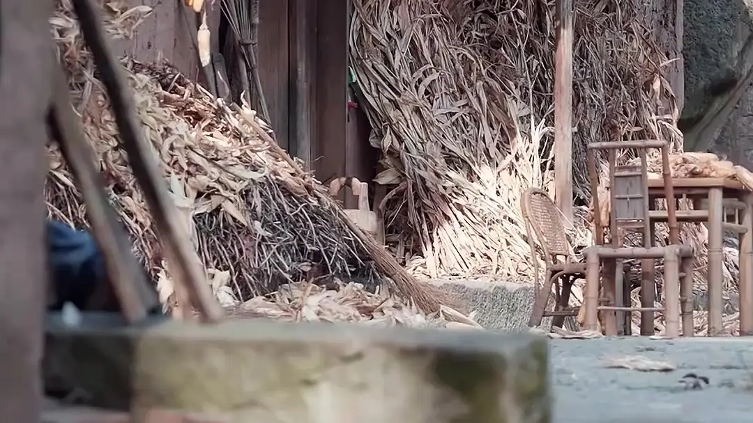 The Crowned Detective & the Silent House