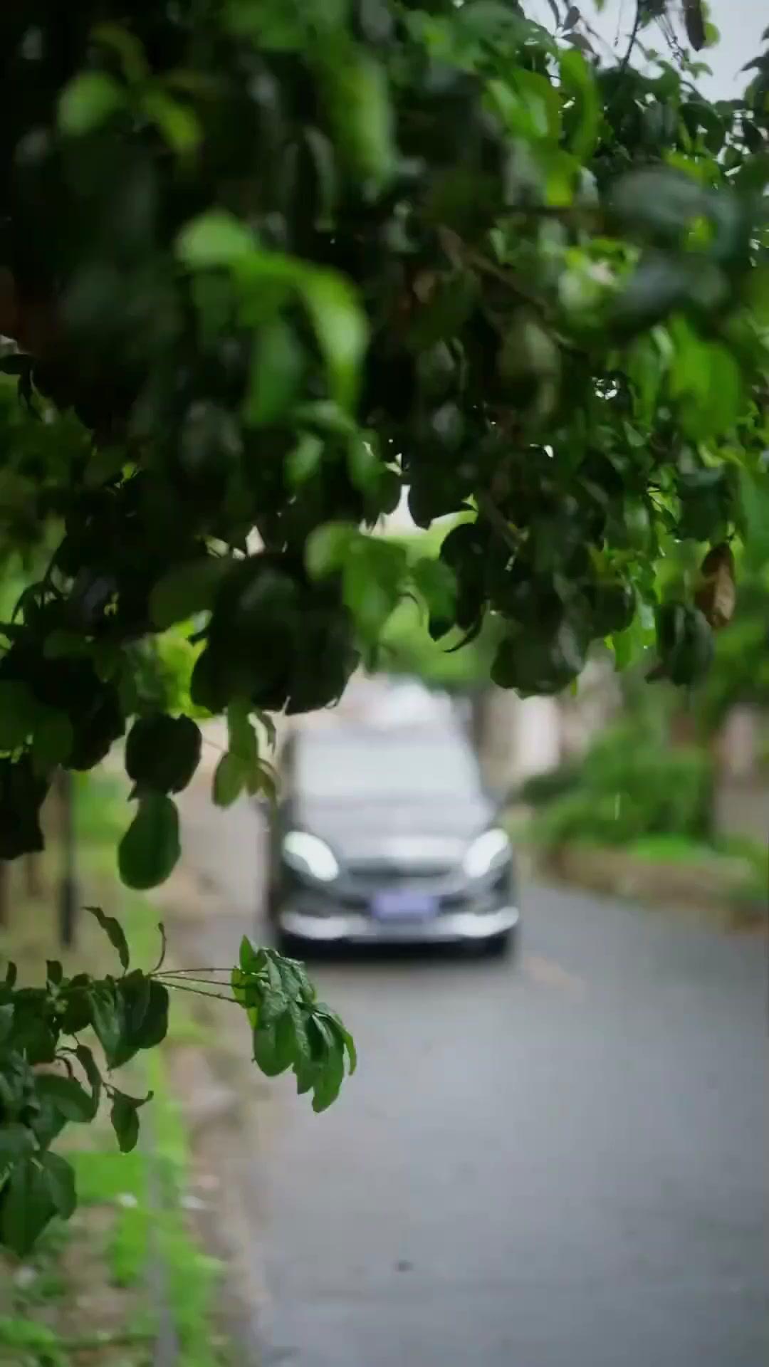 焼け跡の令嬢 ~復讐は灰の彼方から~