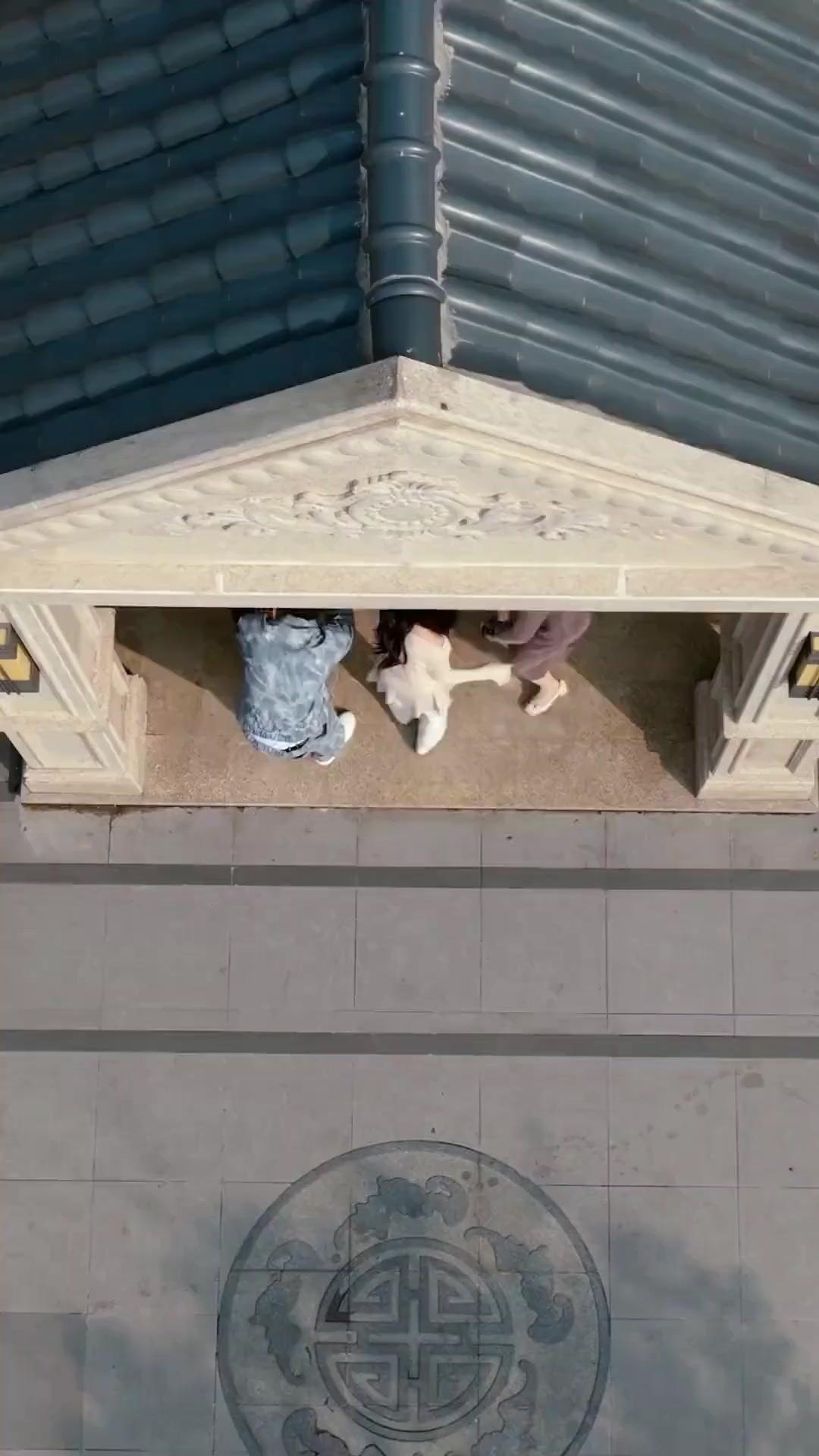 (Dublajlı) Planlanmış Çöküş