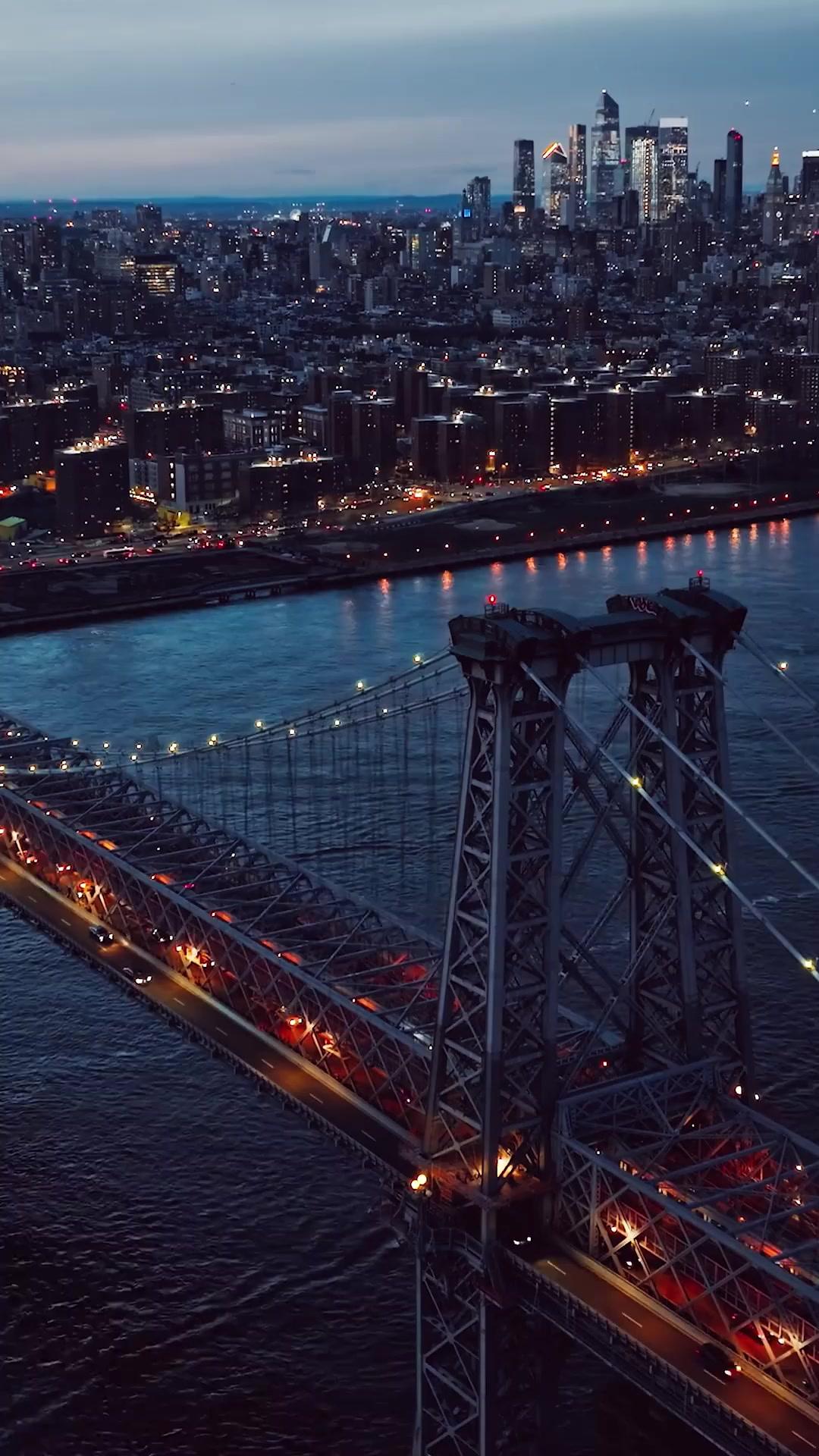 Rey bastardo de la jaula