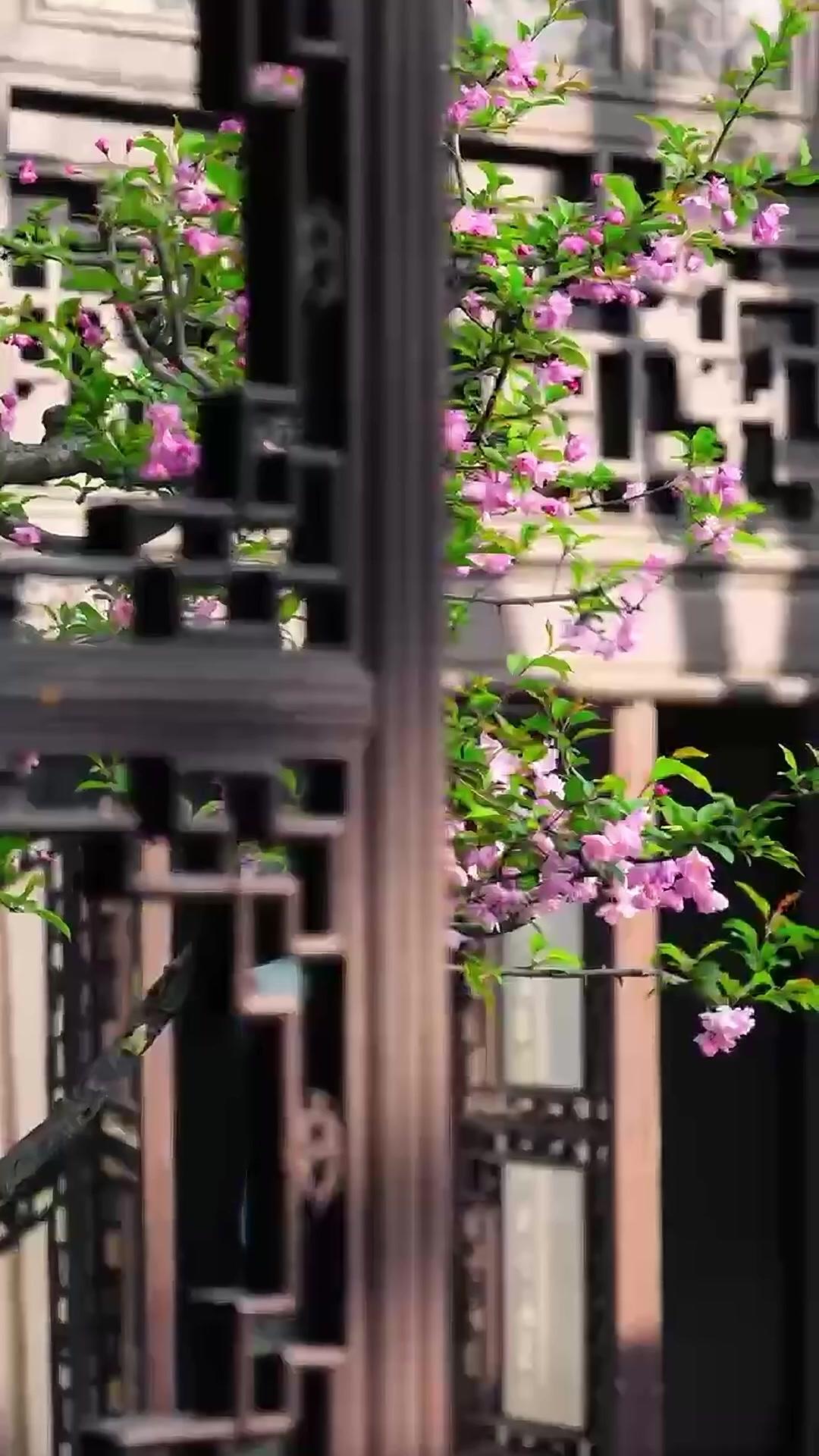 The Marriage Exchange: Now I Marry for the Crown