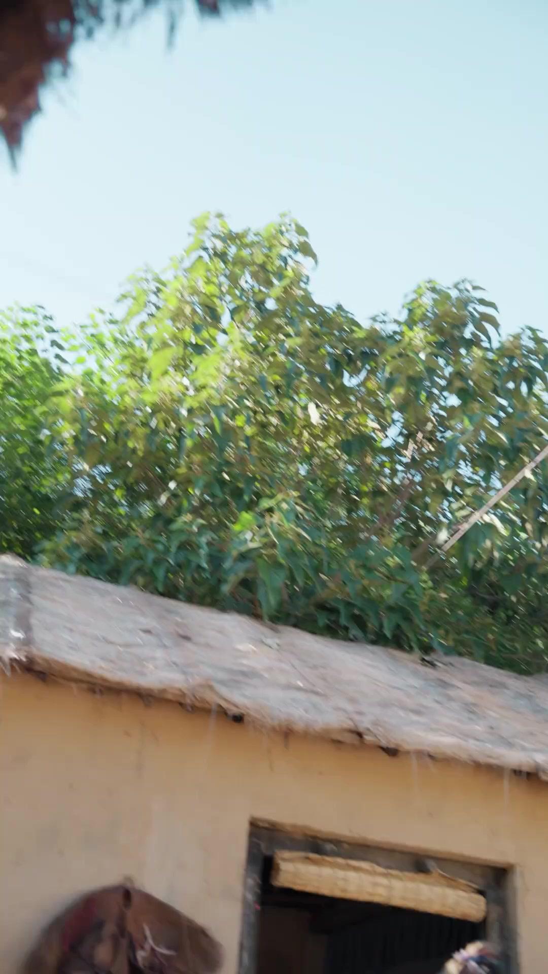 Thần Bài Cứu Hạn