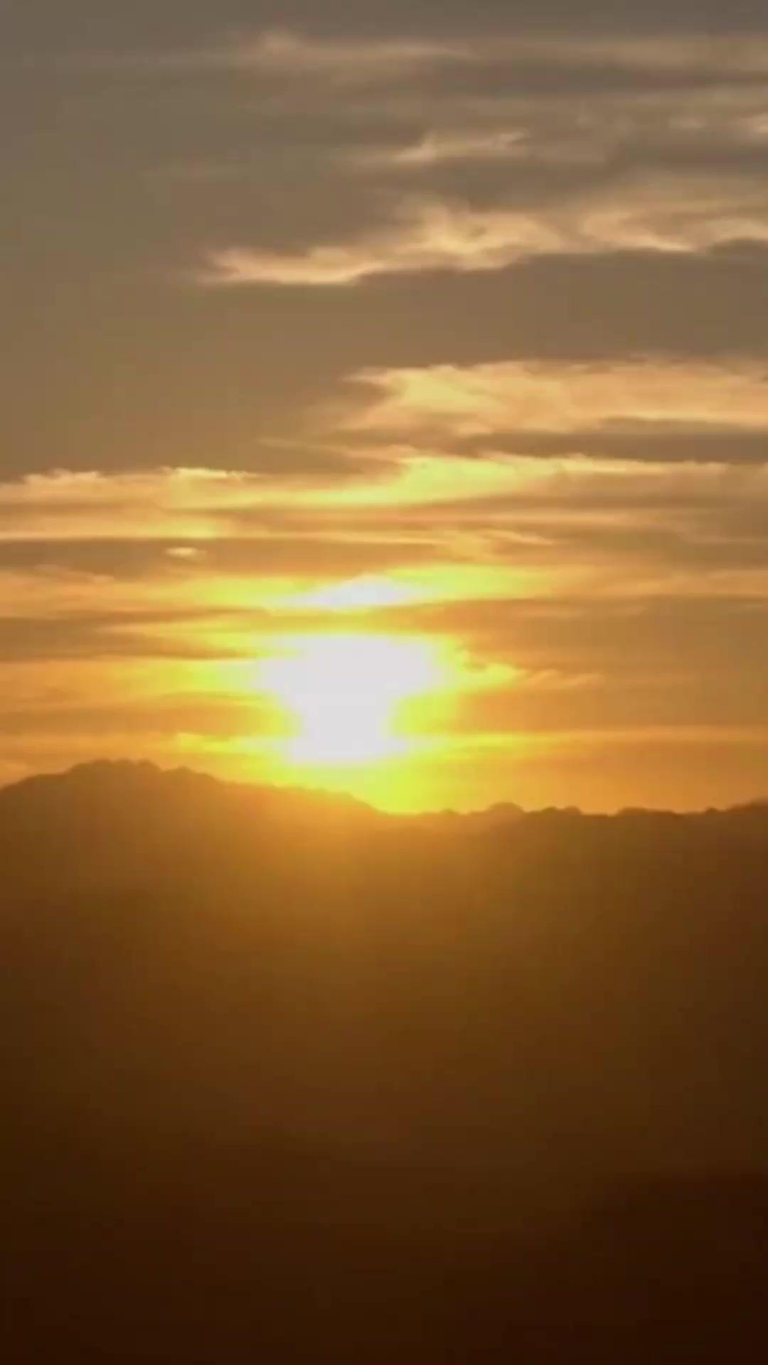 Dari Masa Depan, Istriku Pembunuh