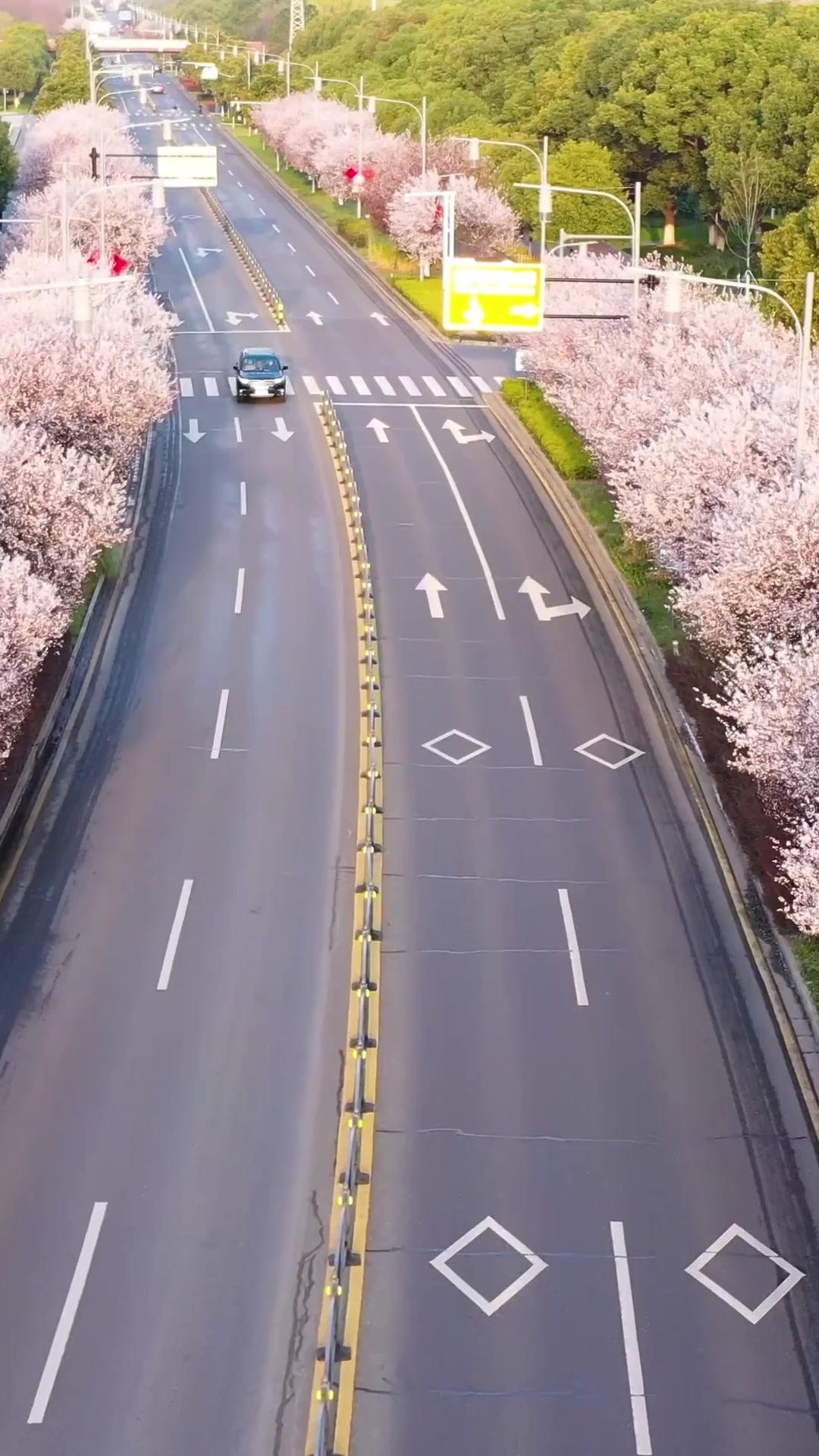 The Billionaire's Two Little Cupids