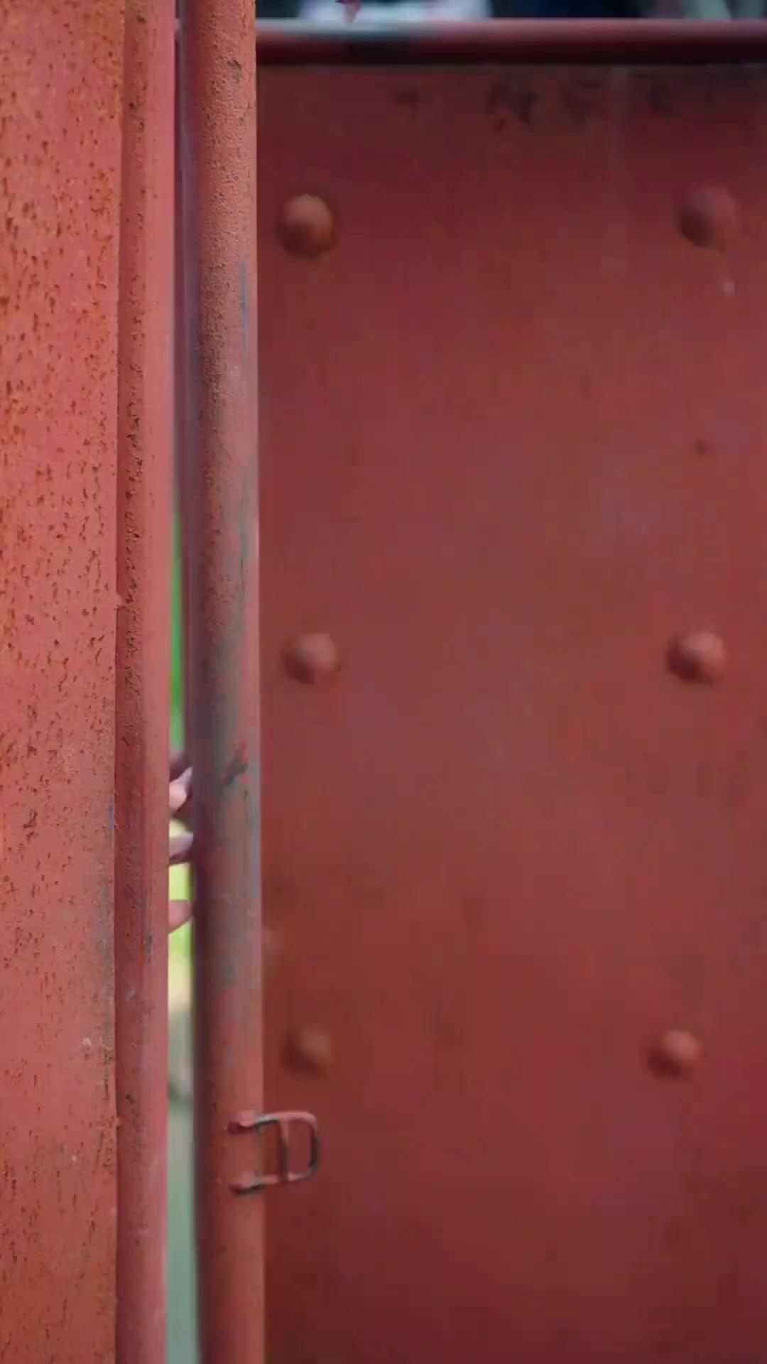 (Dubbed) My Fake Wife Is the Real Billionaire?