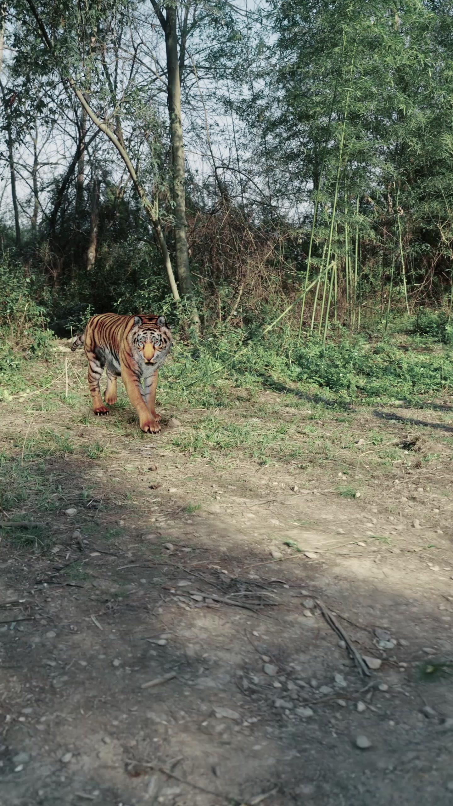 Lelaki Biasa di Zaman Luar Biasa