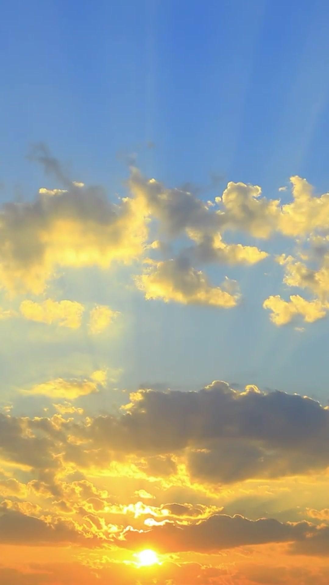 The Mafia Queen vs. The Evil Neighbors