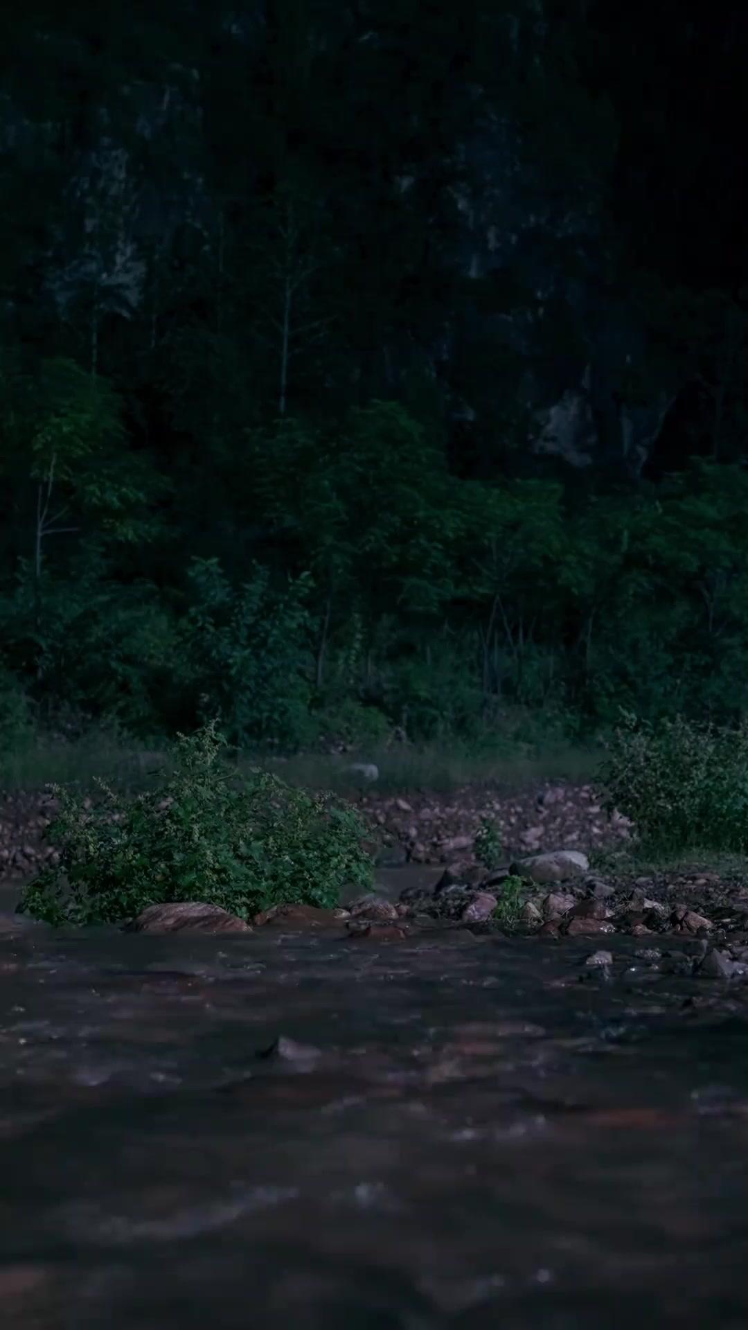 Cahaya di Desa Tertinggal