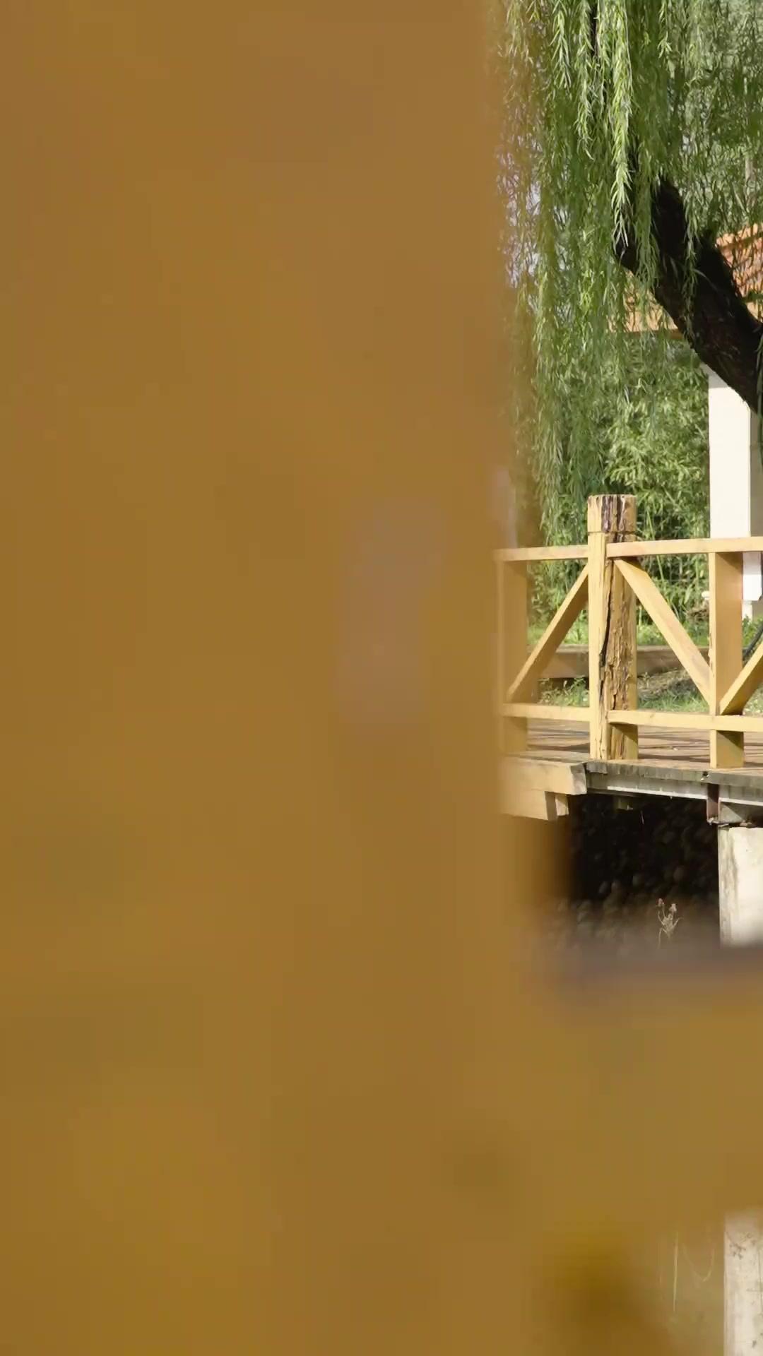 転生女帝のリベンジ～かつての弟たちに守られて～