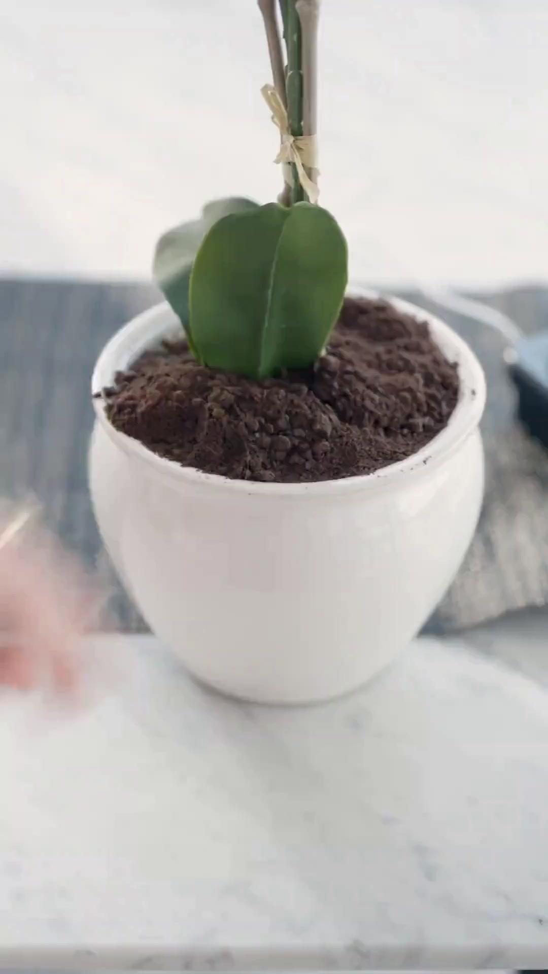 (Dublagem) Não Mexa com a Filha do Bilionário!