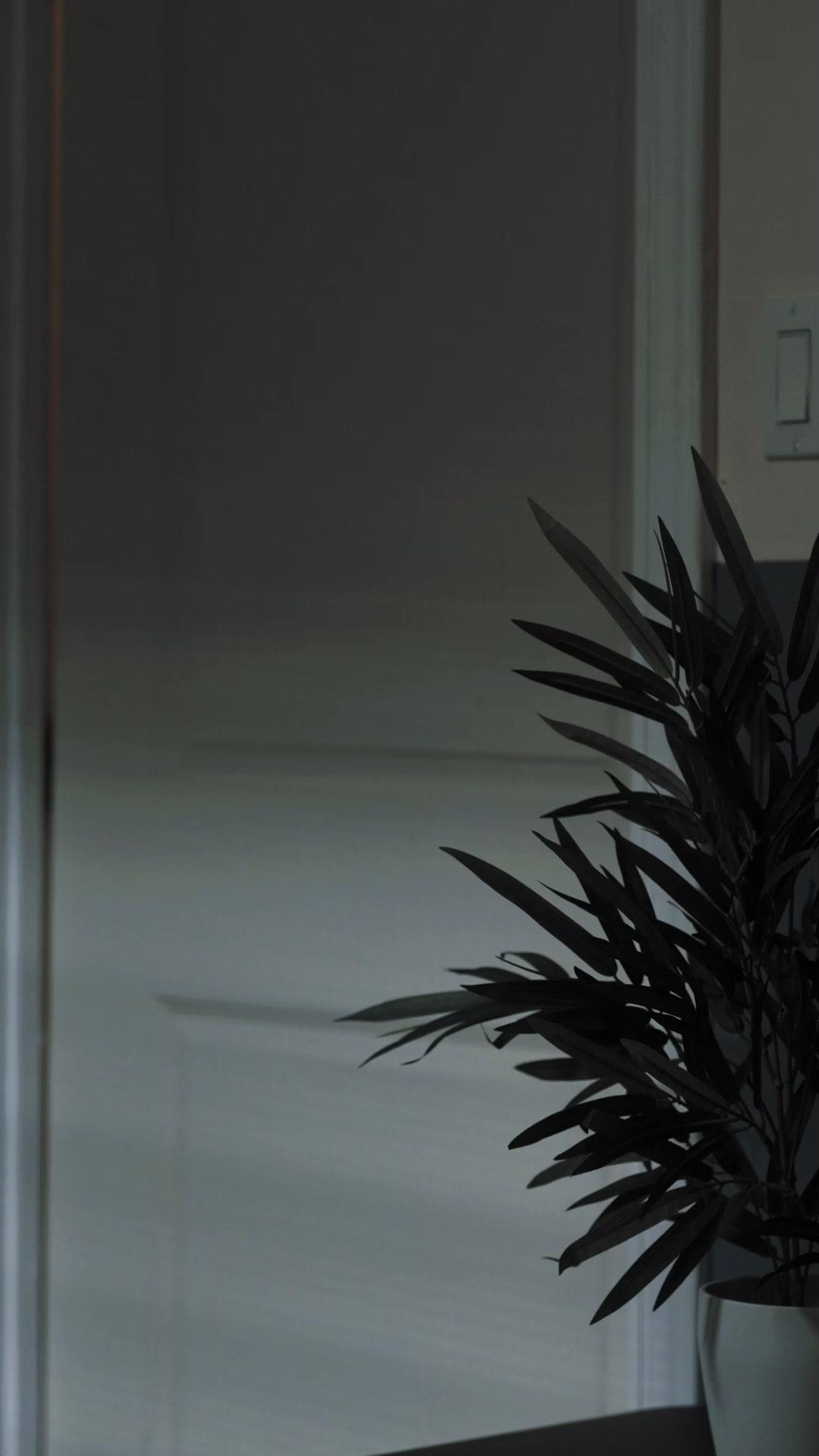 Spoiled by My CEO Husband