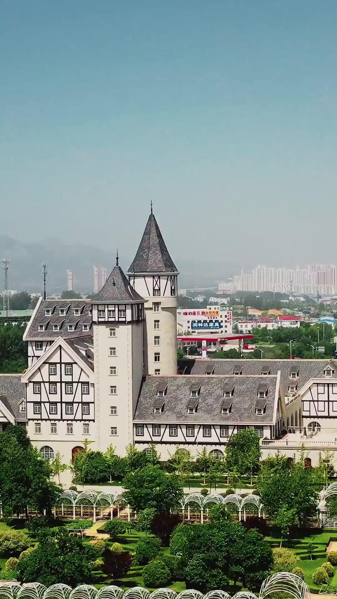 愛を知らない彼を、私が救う