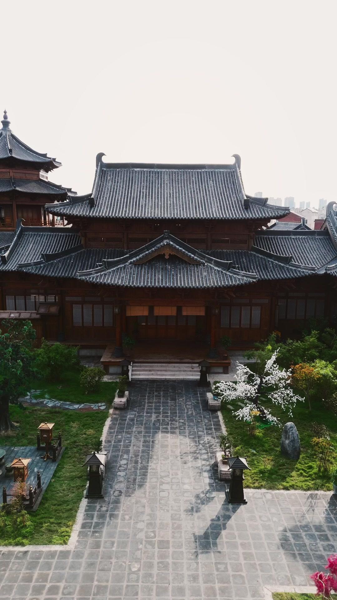 I Marry My Way To Immortality