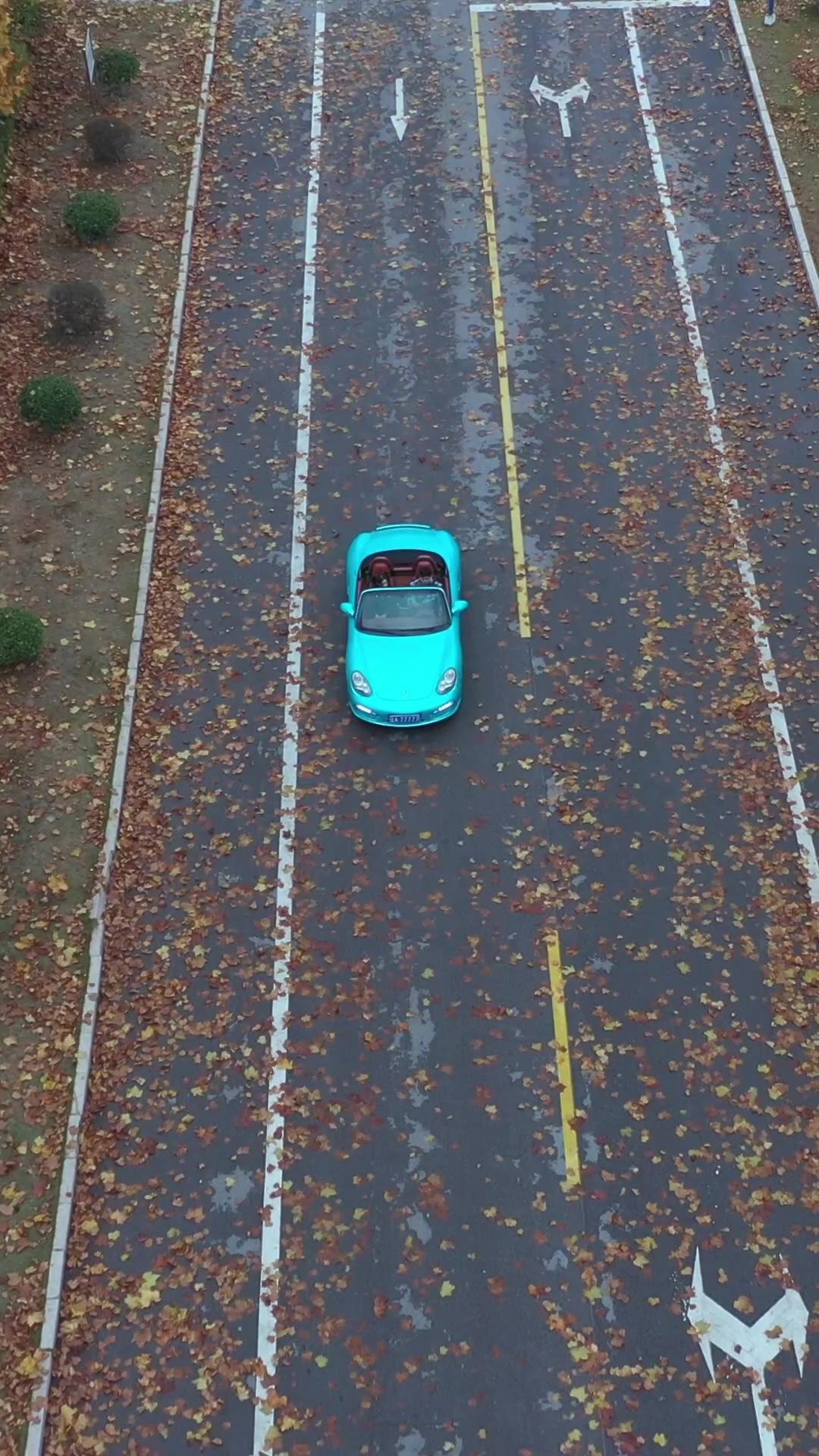 Dopo la Vita, la Vendetta